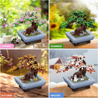 TERRAMUS 4 in 1 Four Seasons Bonsai Tree Building Set, 584 PCS Botanical Collection Cherry Blossom Brick Toy, Desk Decor Gifts Adults Kids 6+