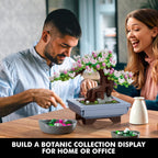 TERRAMUS 4 in 1 Four Seasons Bonsai Tree Building Set, 584 PCS Botanical Collection Cherry Blossom Brick Toy, Desk Decor Gifts Adults Kids 6+